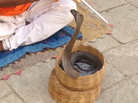 20121111-234751.jpg