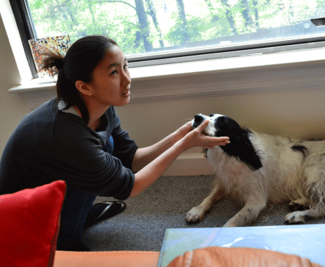 Screen Shot 2015-04-19 at 11.44.31 AM