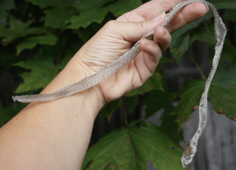 Screen Shot 2015-10-01 at 10.06.43 AM