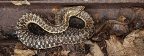 Screen Shot 2015-10-01 at 8.31.11 AM