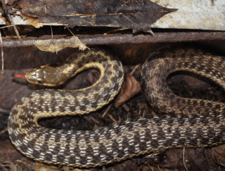 Screen Shot 2015-10-01 at 9.13.30 AM