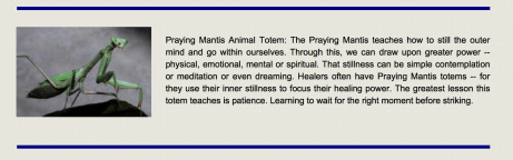 screen-shot-2016-10-30-at-2-24-13-am