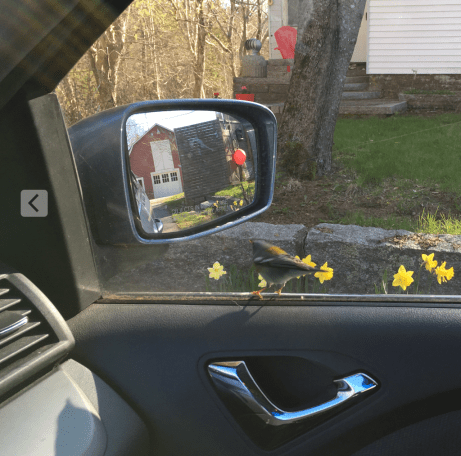 Screen Shot 2017-05-12 at 5.23.12 PM