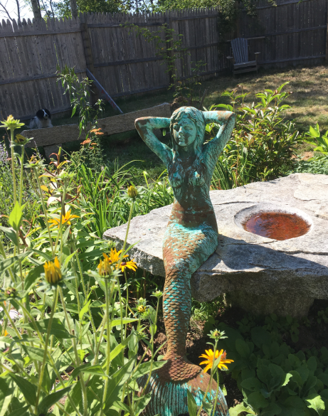 Screen Shot 2017-08-24 at 3.55.51 PM