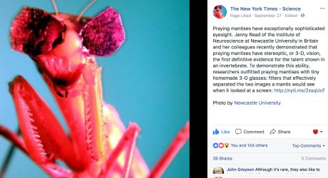 Screen Shot 2017-11-04 at 9.32.41 AM