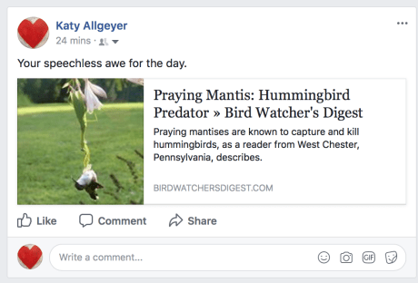 Screen Shot 2017-11-04 at 9.38.06 AM