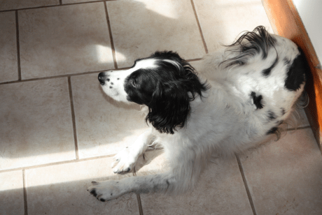 Screen Shot 2019-05-05 at 7.48.30 AM